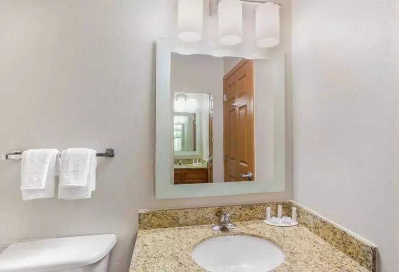 Standard-studio, Towneplace Suites Minneapolis West/st. Louis Park
