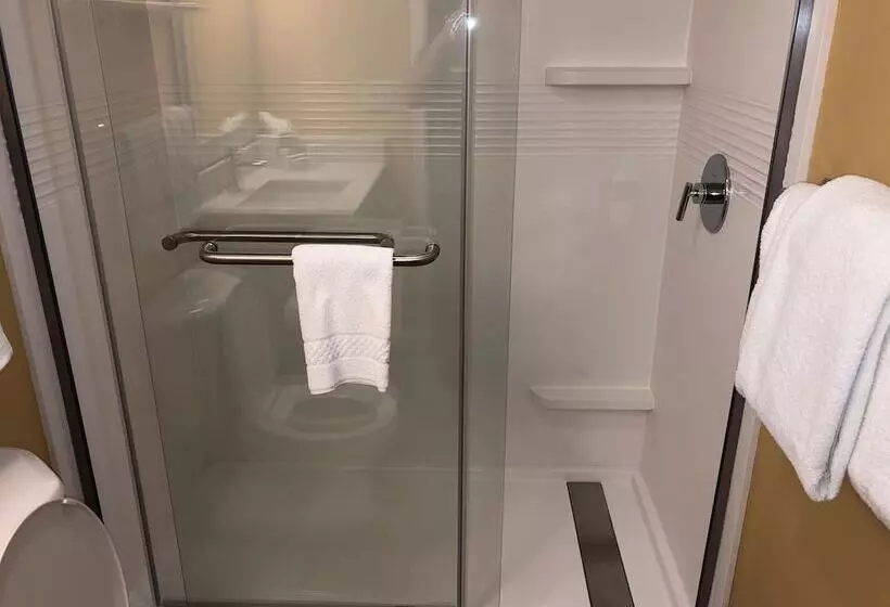 سوییت, Towneplace Suites Tampa North/i75 Fletcher