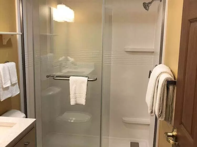 سوییت, Towneplace Suites Tampa North/i75 Fletcher