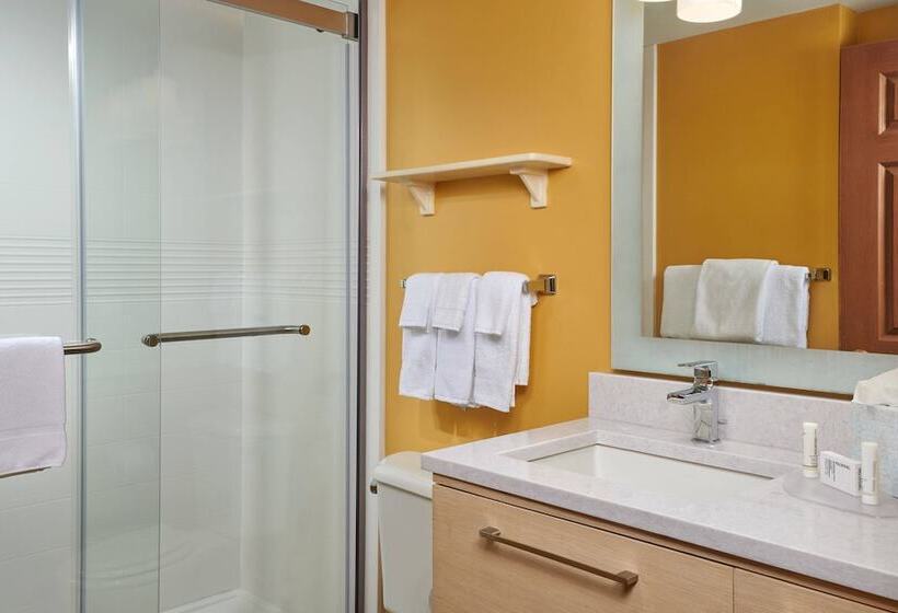 Люкс, Towneplace Suites Tampa North/i75 Fletcher