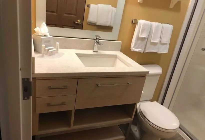 سوییت, Towneplace Suites Tampa North/i75 Fletcher