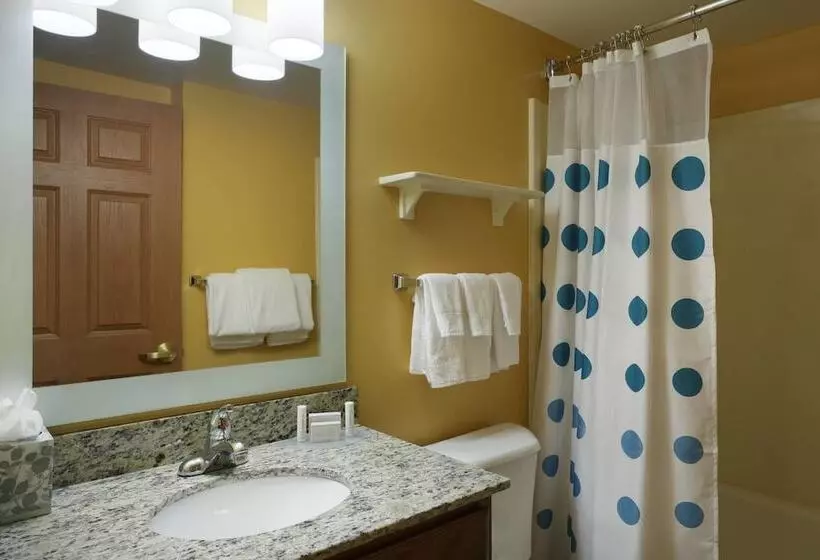 سوییت, Towneplace Suites Tampa North/i75 Fletcher