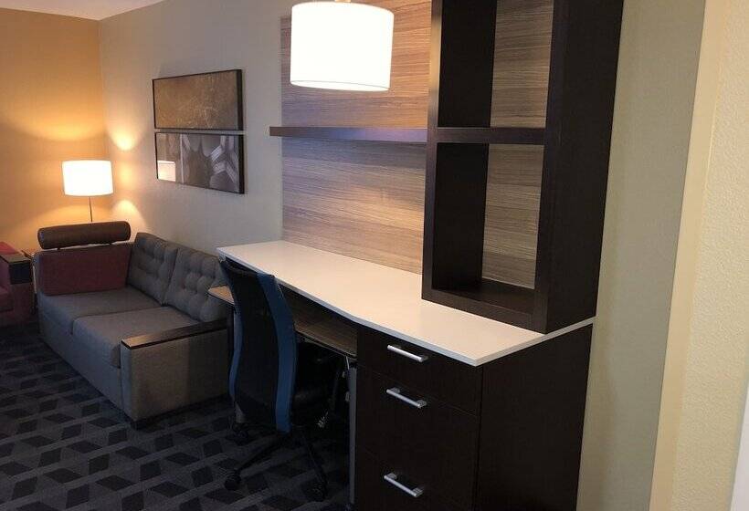סוויטה, Towneplace Suites Tampa North/i75 Fletcher