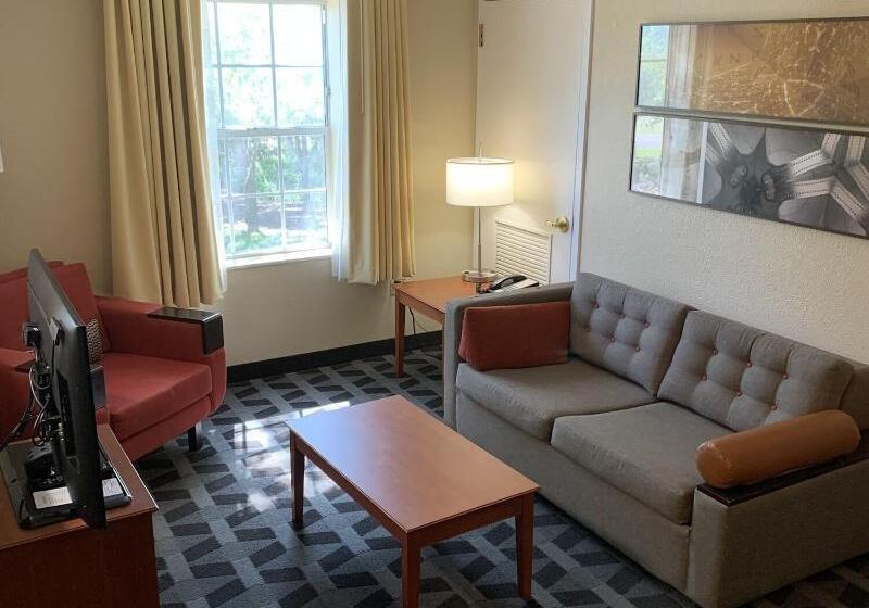 סוויטה, Towneplace Suites Tampa North/i75 Fletcher