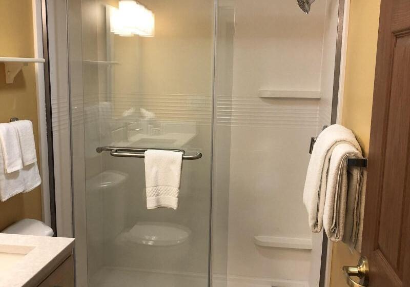 جناح, Towneplace Suites Tampa North/i75 Fletcher