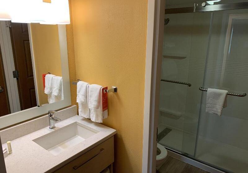 סוויטה, Towneplace Suites Tampa North/i75 Fletcher