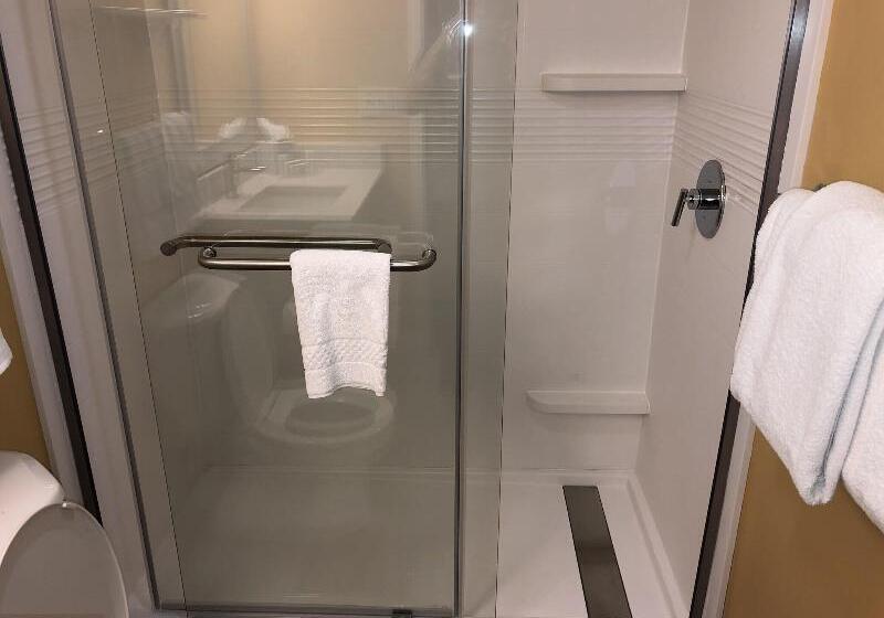 סוויטה, Towneplace Suites Tampa North/i75 Fletcher