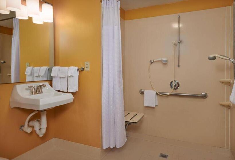 חדר סטודיו סטנדרד, Towneplace Suites Tampa North/i75 Fletcher