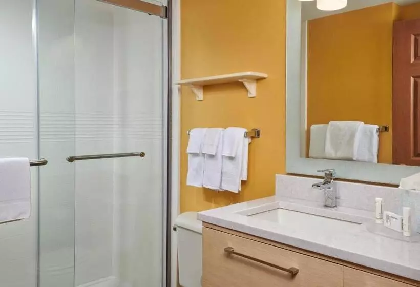 استودیوی استاندارد, Towneplace Suites Tampa North/i75 Fletcher