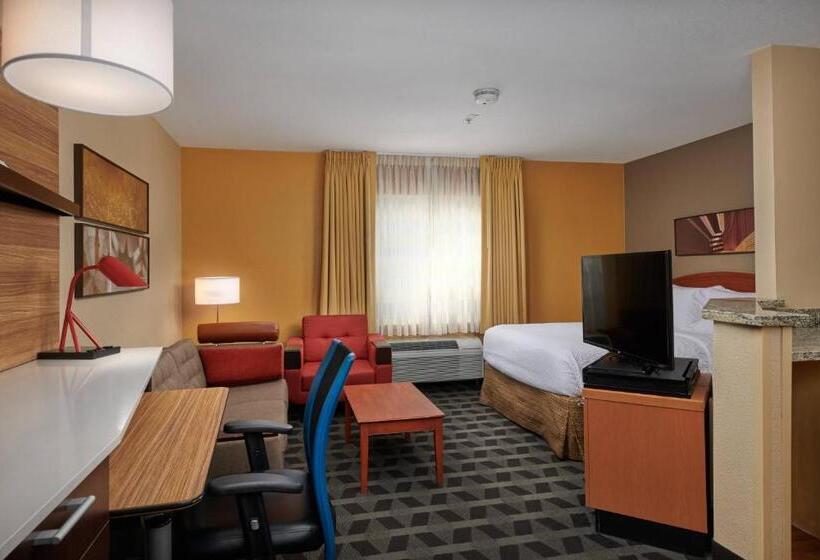 חדר סטודיו סטנדרד, Towneplace Suites Tampa North/i75 Fletcher