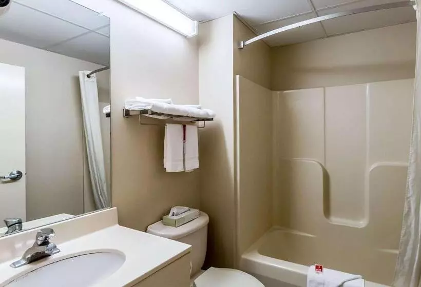 キングサイズベッドのスタンダードルーム, Econo Lodge Inn & Suites