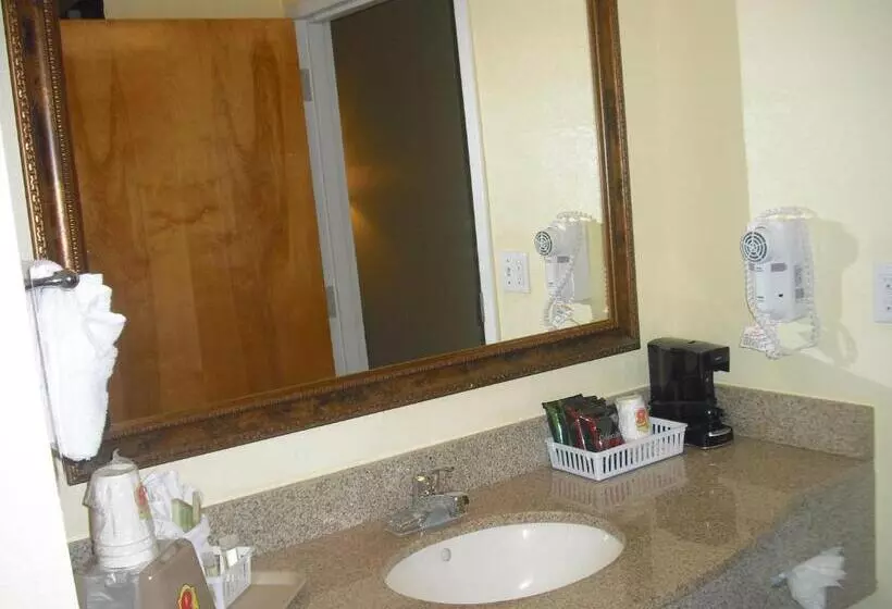Deluxe-studio, Super 8 By Wyndham Daytona Beach