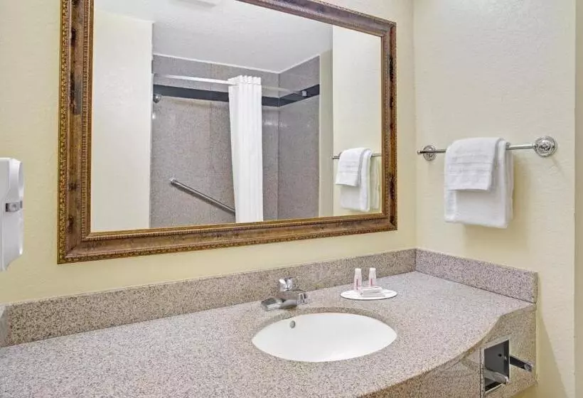 Standard-studio, Super 8 By Wyndham Daytona Beach
