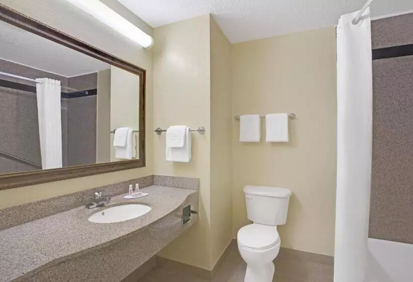 Standard-studio, Super 8 By Wyndham Daytona Beach
