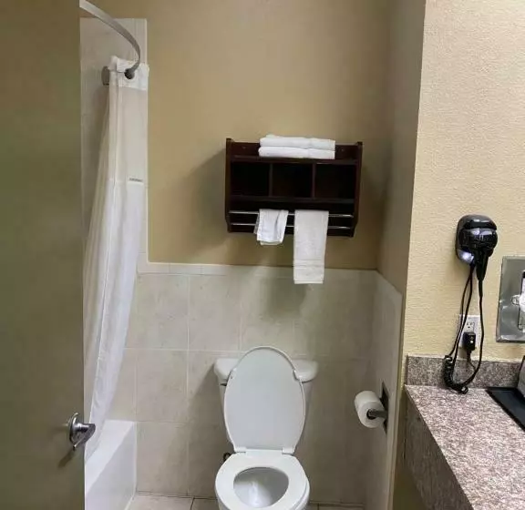 اتاق استاندارد با تخت بزرگ, Red Lion Inn & Suites Iah Airport East