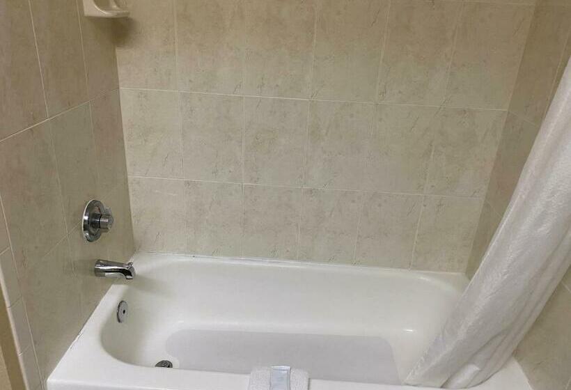 스탠다드 룸 킹사이즈 침대, Red Lion Inn & Suites Iah Airport East