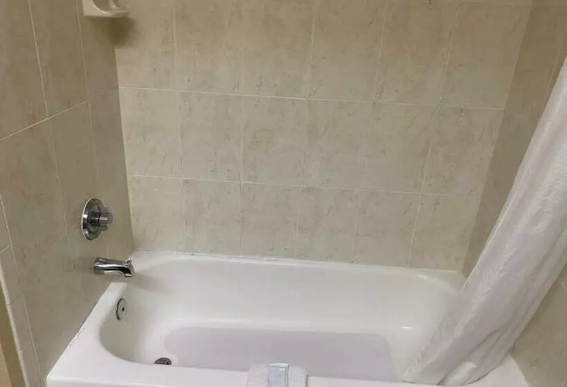 اتاق استاندارد با تخت بزرگ, Red Lion Inn & Suites Iah Airport East