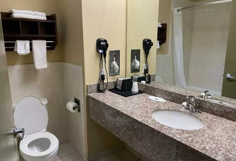 اتاق استاندارد با تخت بزرگ, Red Lion Inn & Suites Iah Airport East