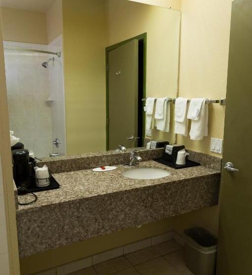 스탠다드 룸 킹사이즈 침대, Red Lion Inn & Suites Iah Airport East