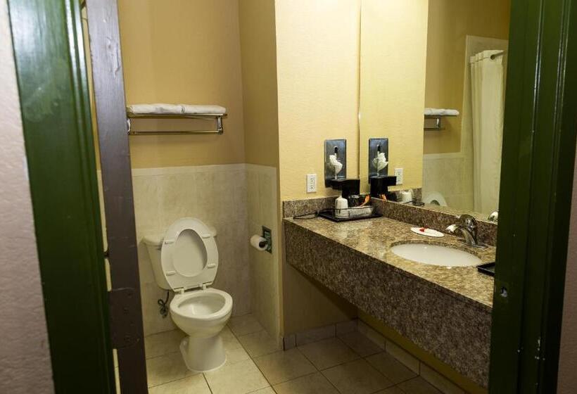 스탠다드 룸 킹사이즈 침대, Red Lion Inn & Suites Iah Airport East