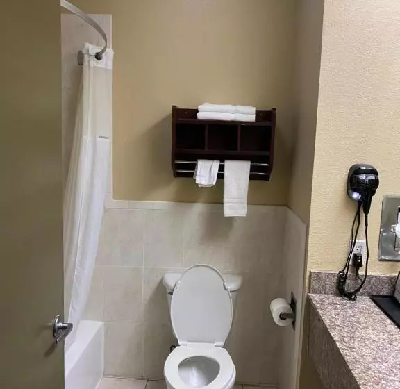اتاق استاندارد, Red Lion Inn & Suites Iah Airport East