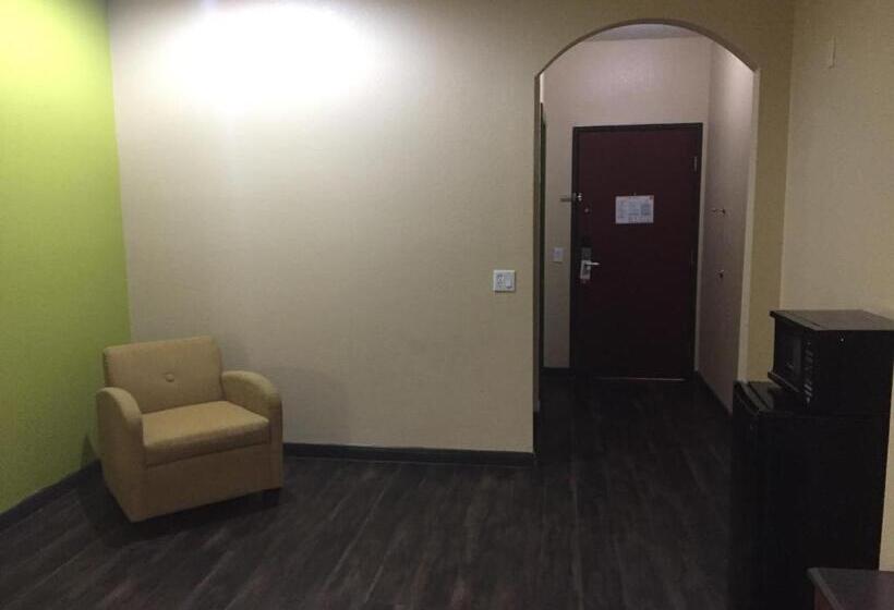 스탠다드 룸 킹사이즈 침대, Red Lion Inn & Suites Iah Airport East