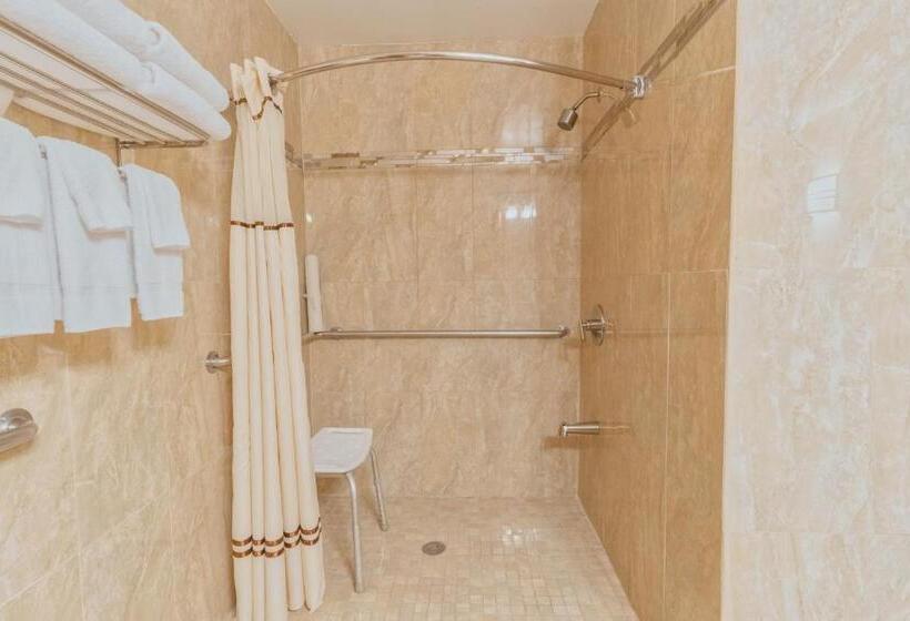 غرفة قياسية لذوى الاحتياجات الخاصة, The Monarch Inn