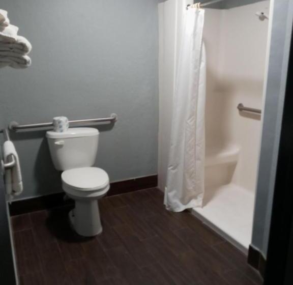 غرفة قياسية سرير كينج لذوى الإحتياجات الخاصة, Travel Inn Winter Haven