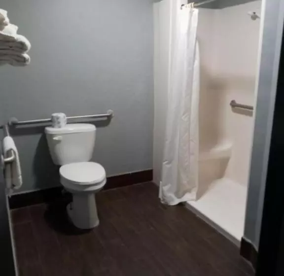 身障者適用キングサイズベッドルーム, Travel Inn Winter Haven