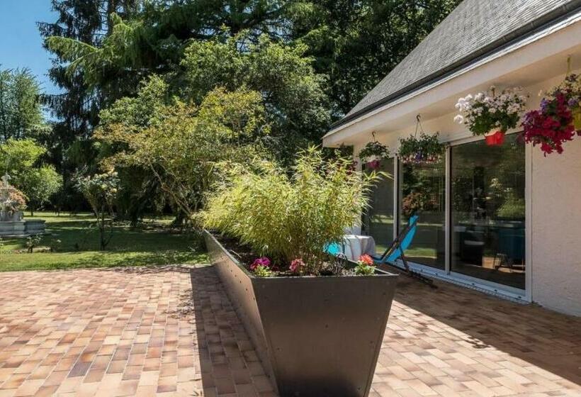 جناح, La Clotière