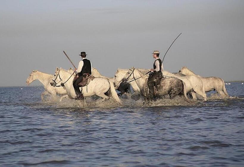 منزل غرفة نوم واحدة, Le Mas Des Sages