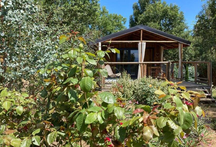 Бунгало Deluxe, Cabanes Trésors De Campagne,spas Privatifs