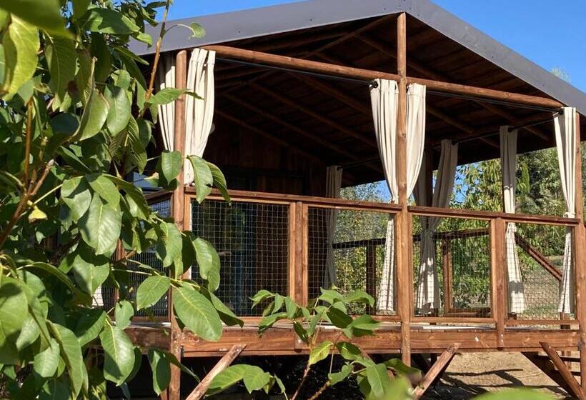 Хижина, Cabanes Trésors De Campagne,spas Privatifs