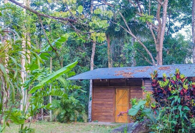 كابينة ديلوكس, Villa Celeste Katira