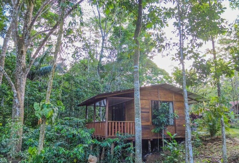 كابينة ديلوكس, Villa Celeste Katira