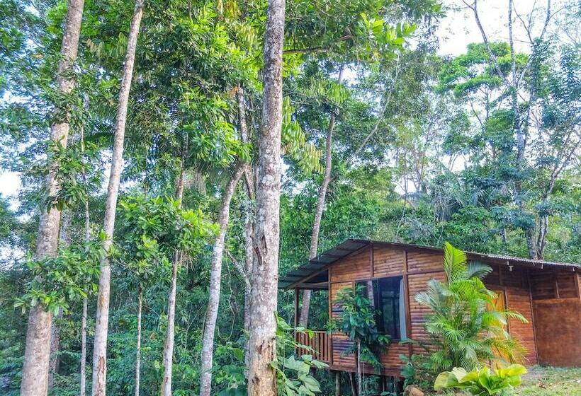 كابينة ديلوكس, Villa Celeste Katira