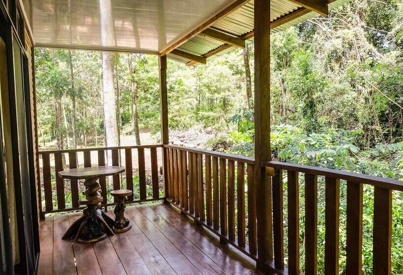 كابينة ديلوكس, Villa Celeste Katira