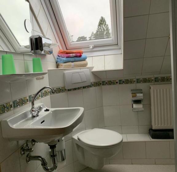 Номер Стандарт, Hohe Tanne