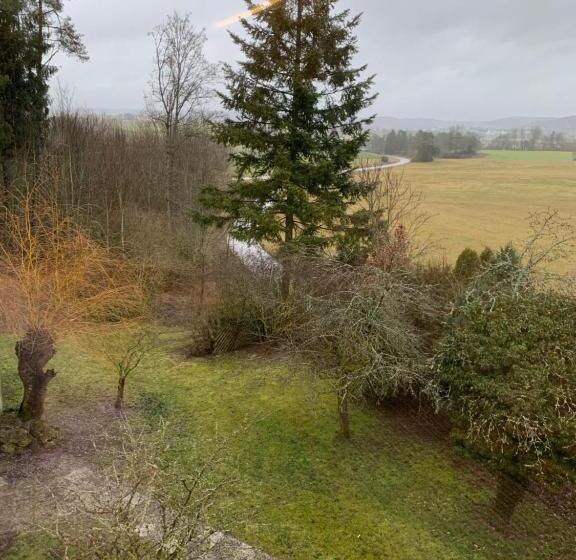 Номер Deluxe Вид на Сад, Hohe Tanne