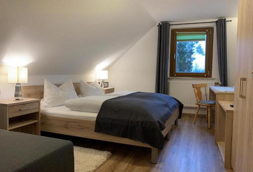 Номер Стандарт, Hohe Tanne