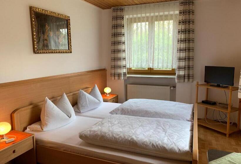 Номер Стандарт, Hohe Tanne