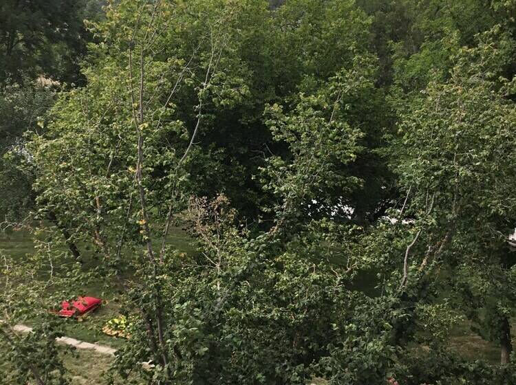 غرفة كومفورت, Les Délices De Lavoûte