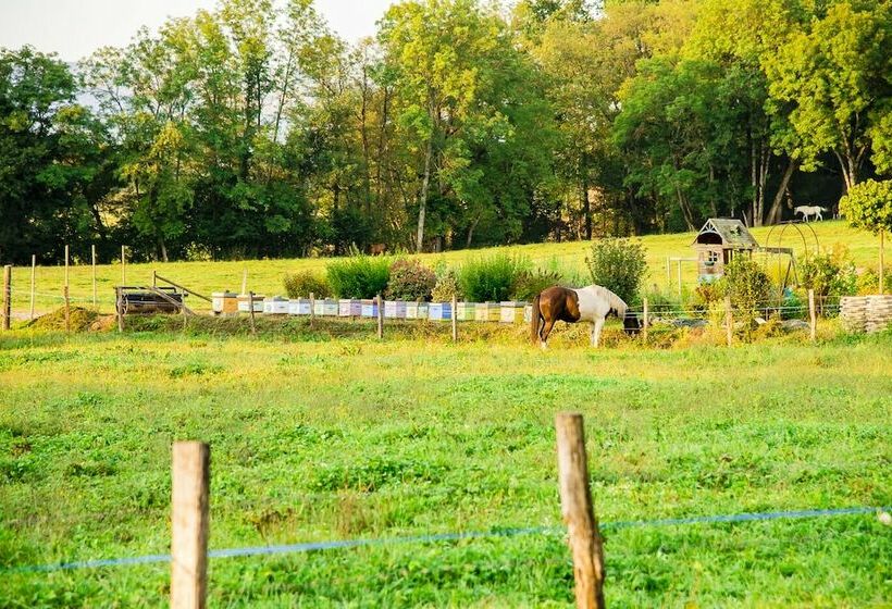 شقة غرفة واحدة مطلة على الحديقة, Paradis