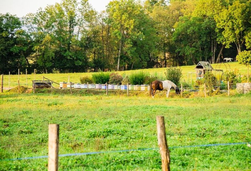 غرفة رومانسية, Paradis