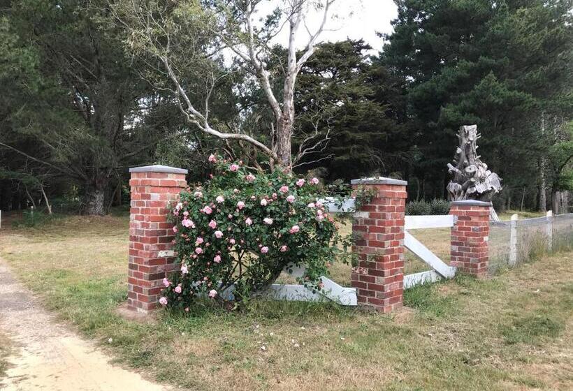 חדר סטנדרט חדר אמבטיה משותף, Helen S Homestead