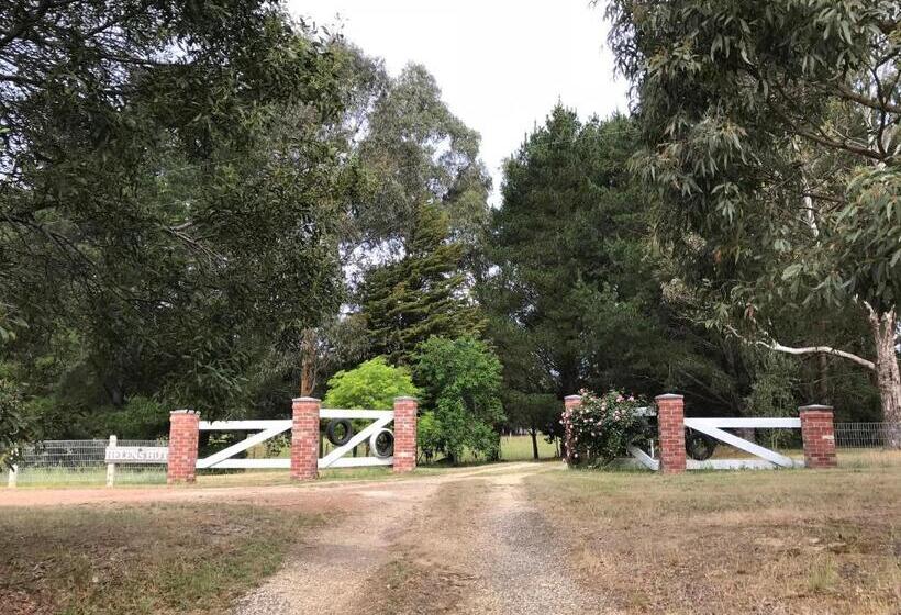 חדר סטנדרט עם מיטת קינג, Helen S Homestead