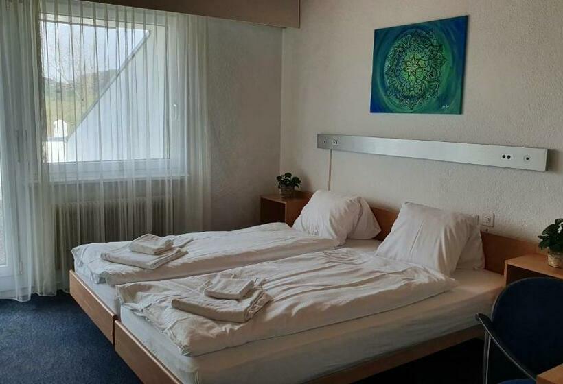 חדר סטנדרט נוף לאגם, Erlebnisland Grizzlybar