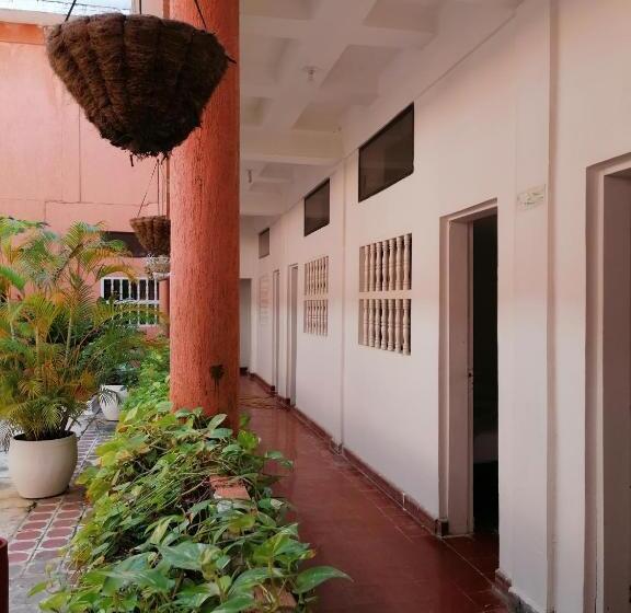 غرفة قياسية رباعية, Montecarlo Beach