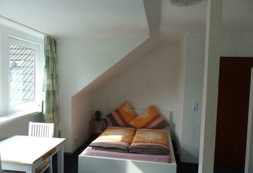 标准间, Pension Ziemann