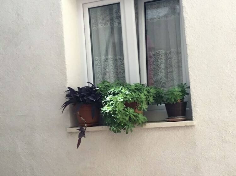 Apartamento Deluxe 1 Dormitorio, Cool Place